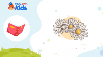 Tiếng Việt Lớp 1 - Bộ sách Kết nối tri thức với cuộc sống - Chủ đề 9 - Tuần 9