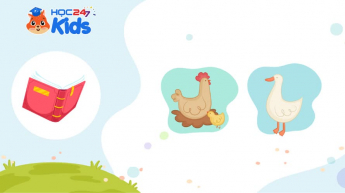 Tiếng Việt Lớp 1 - Bộ sách Kết nối tri thức với cuộc sống - Chủ đề 7 - Tuần 7