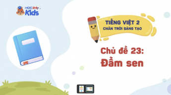 Tiếng Việt Lớp 2 - Bộ sách Chân trời sáng tạo - Chủ đề 23: Đầm sen