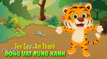 Tên Gọi Và Âm Thanh Cho Bé - Động Vật Rừng Xanh