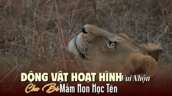 Động Vật Hoạt Hình – Âm Thanh Và Tên Cho Bé Tập Nói