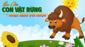 Học Tên Con Vật Rừng Qua Hoạt Hình Vui Nhộn