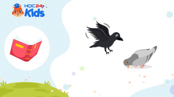 Tiếng Việt Lớp 1 - Bộ sách Kết nối tri thức với cuộc sống - Chủ đề 12 - Tuần 12