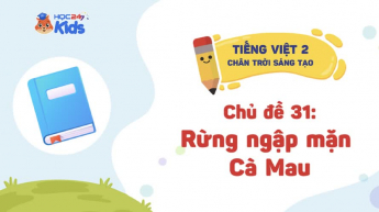 Tiếng Việt Lớp 2 - Bộ sách Chân trời sáng tạo - Chủ đề 31: Rừng ngặp mặn Cà Mau